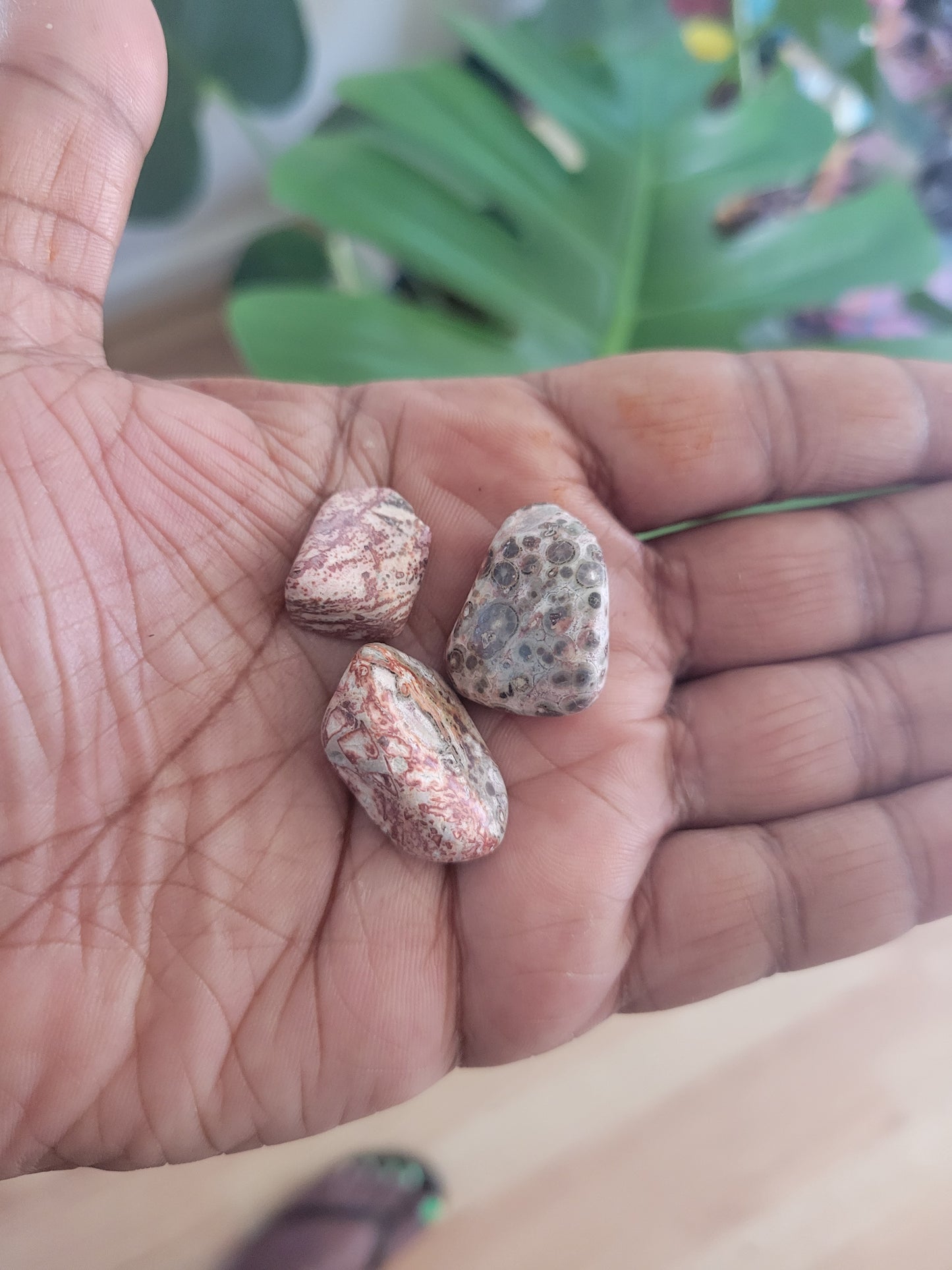 Tumbled- Leopard Skin Jasper
