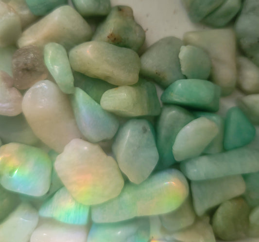 Tumbled- Amazonite (Tiny)