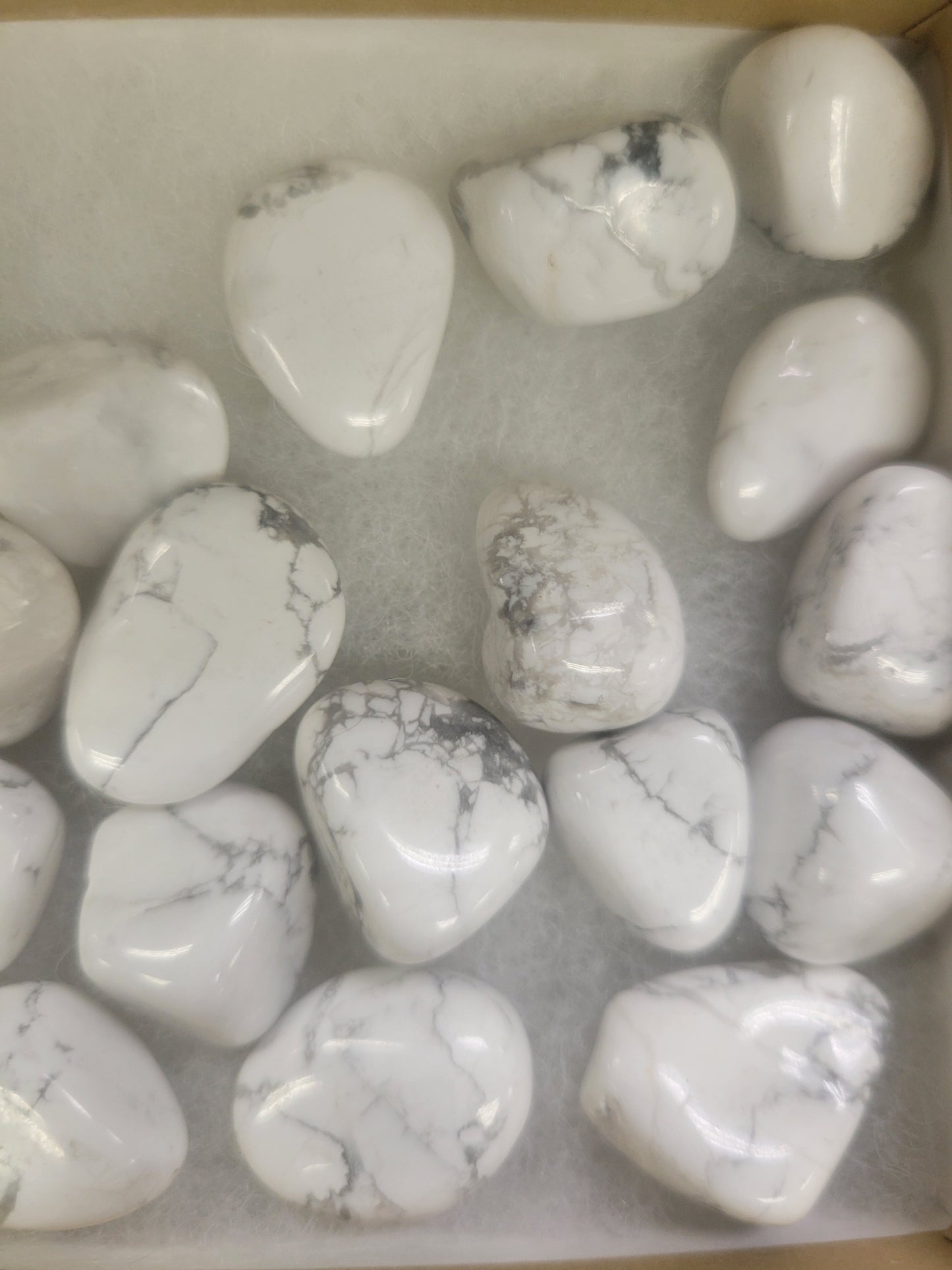 Tumbled- Howlite (sm)