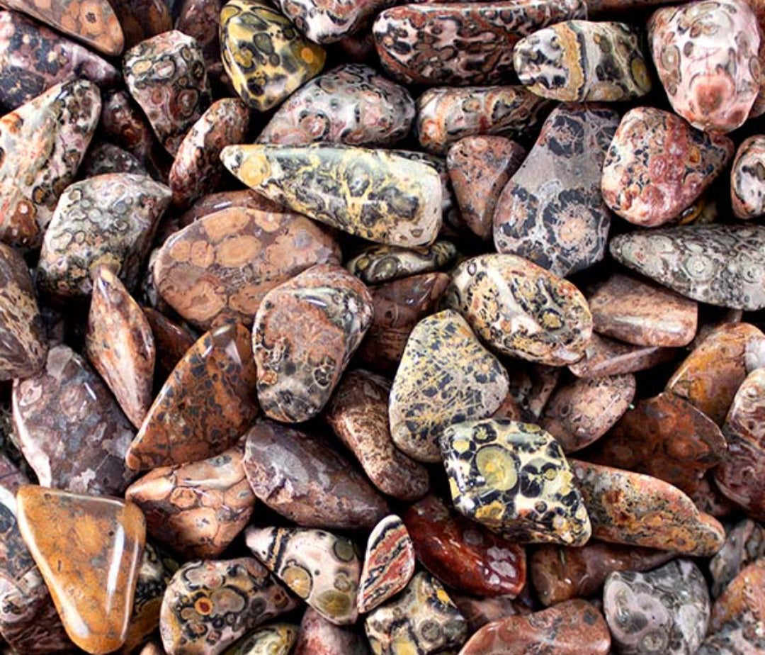 Tumbled- Leopard Skin Jasper