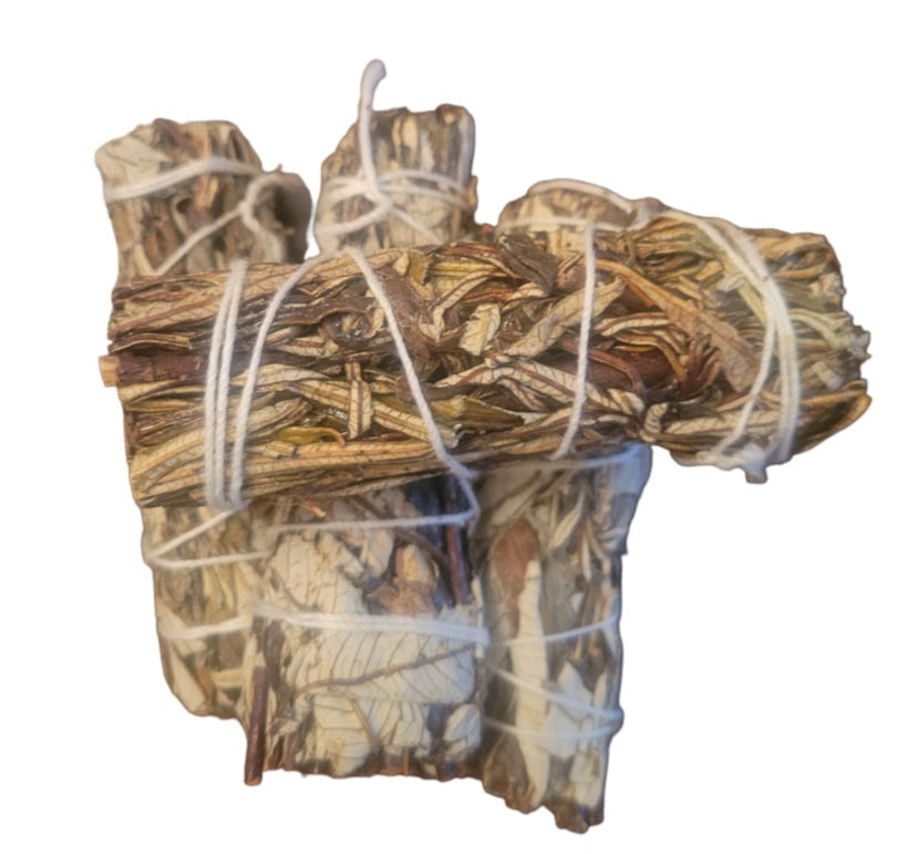 Smudge- Yuraba Santa Sage