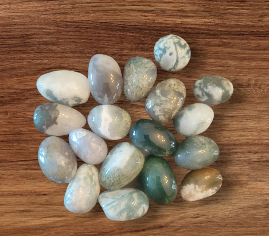 Tumbled- Tree Moss Agate Eggs
