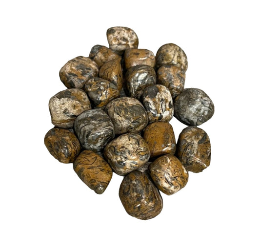 Tumbled- Lion Skin Jasper