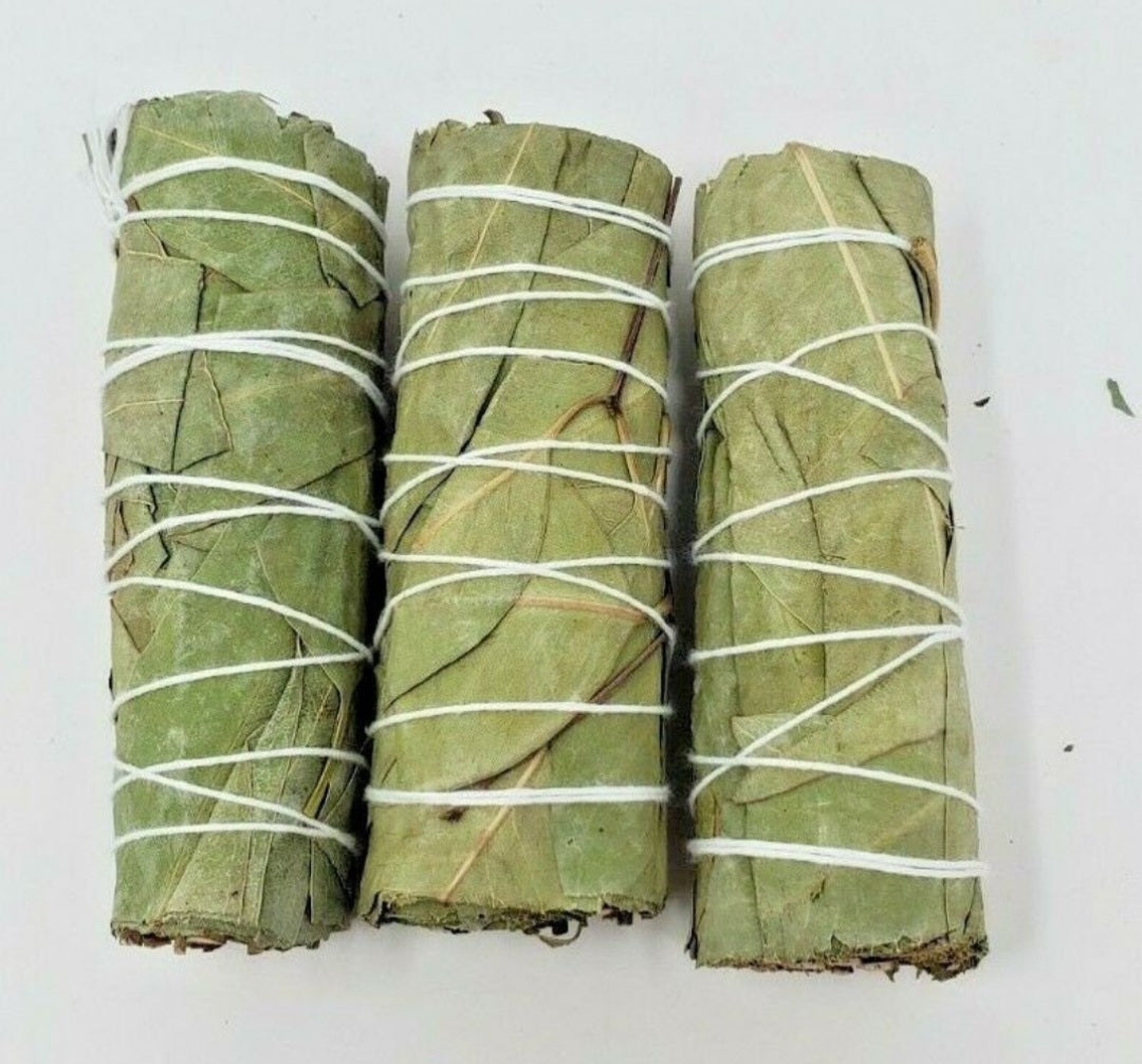 Smudge- Eucalyptus