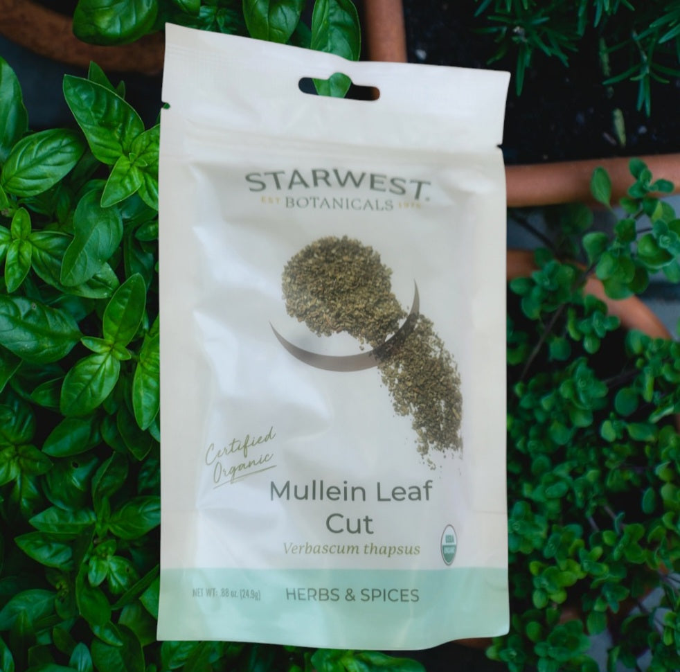 Herb- Mullein Leaf