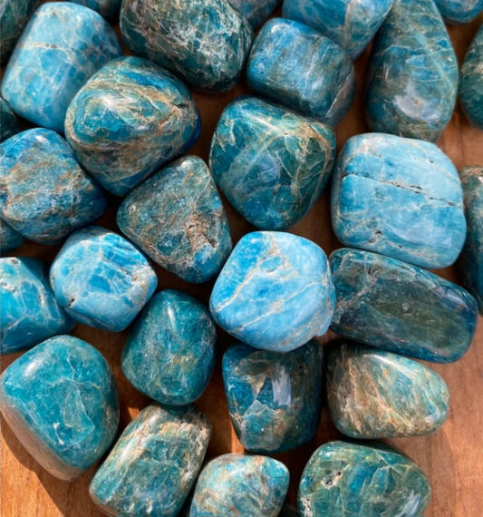 Tumbled- Blue Apatite