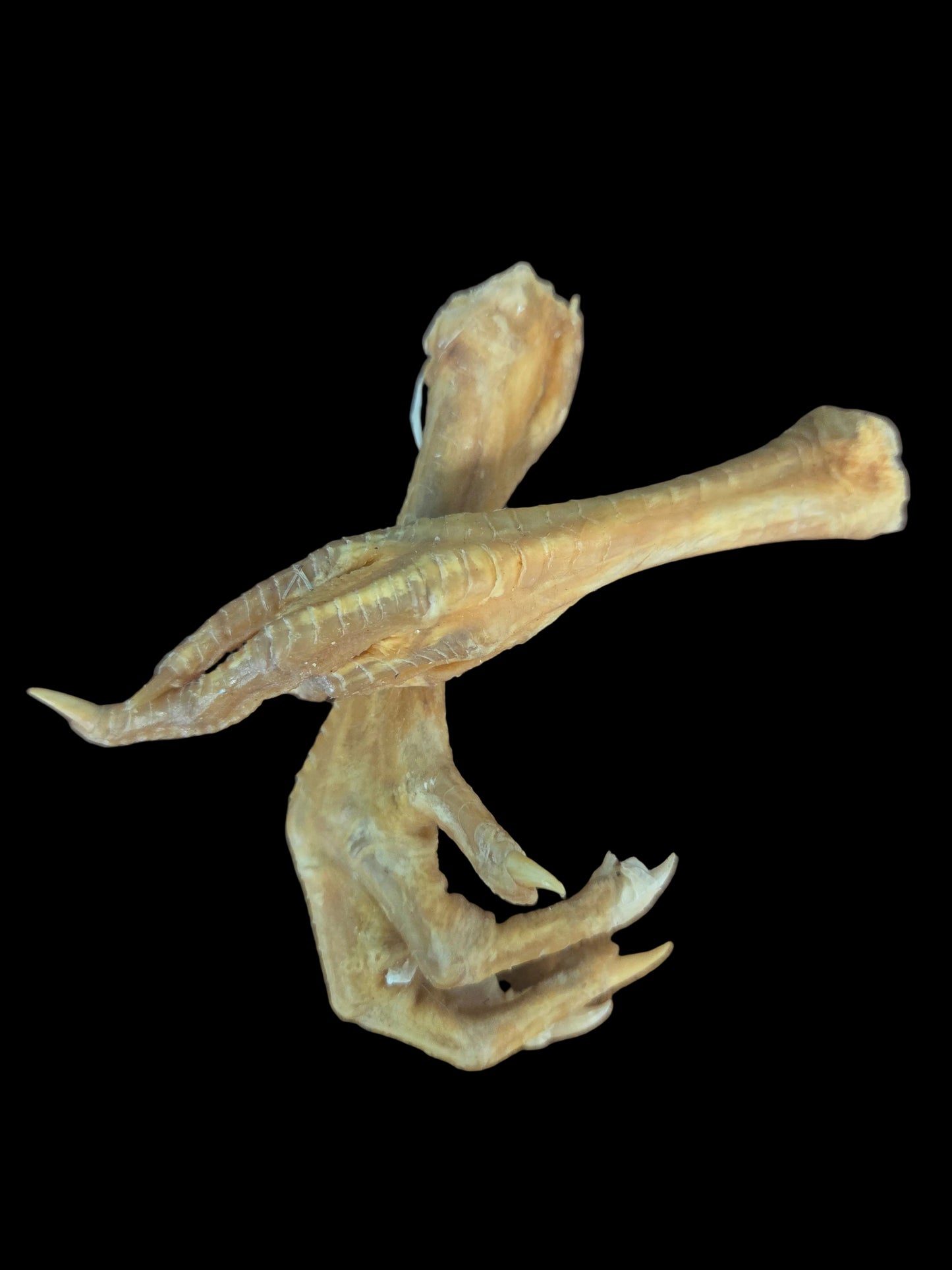 Ritual- Chicken Foot