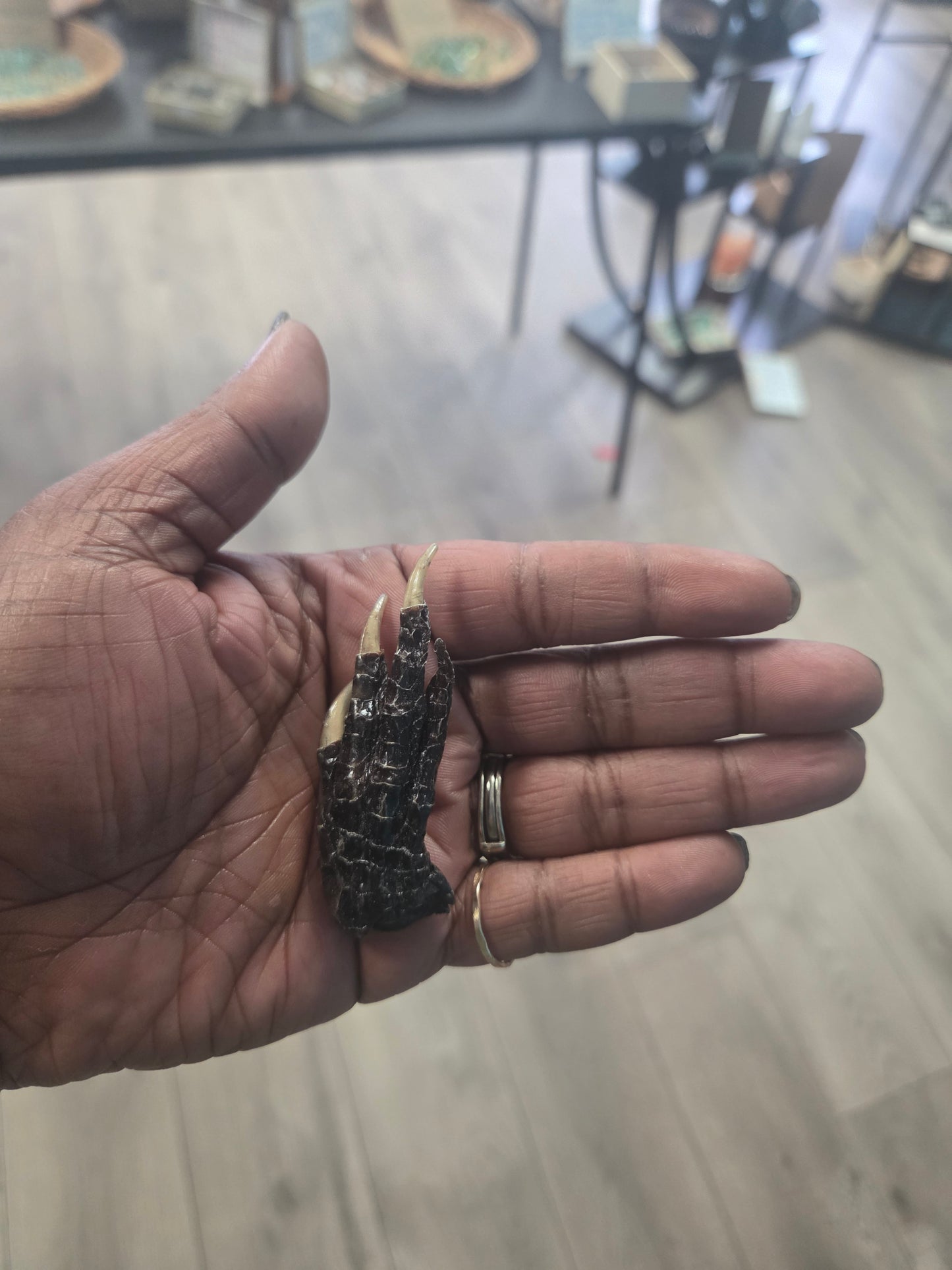 Ritual- Gator Foot (Sm)