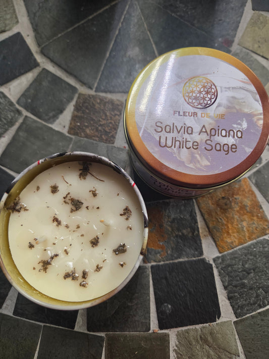 Candle- Sylvia Apiana White Sage