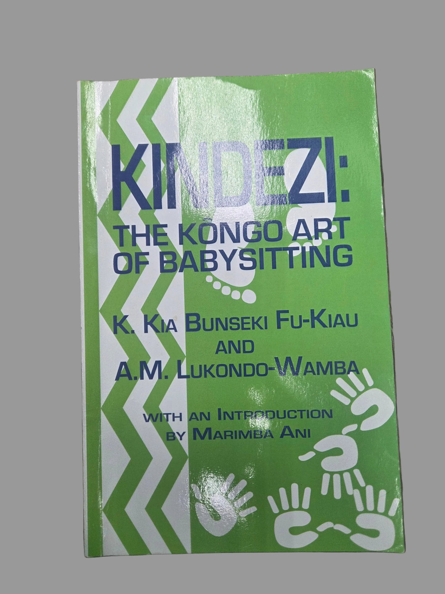 Literature- Kindezi: The Kongo Art of Babysitting