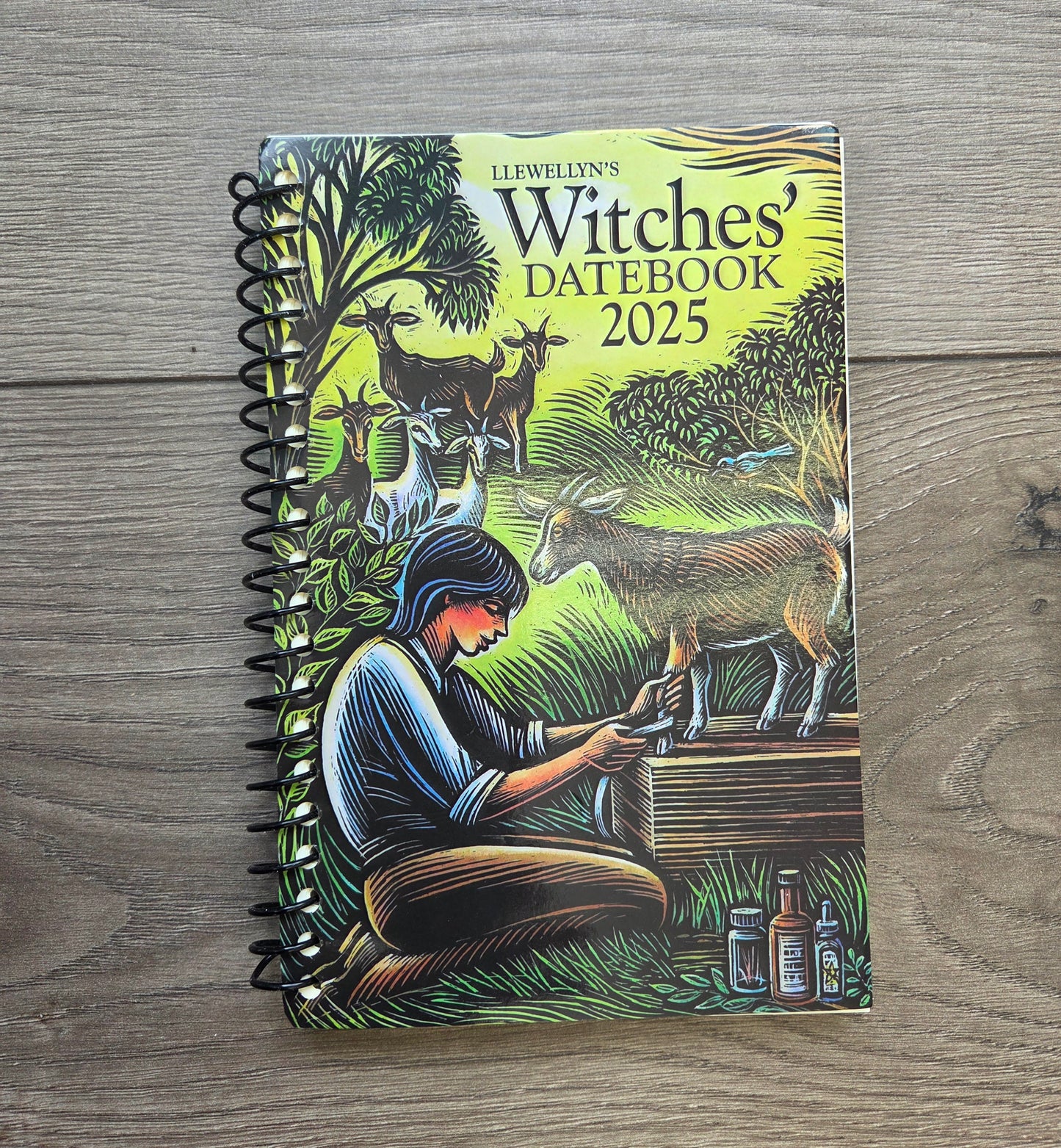 Literature- Witches Datebook 2025