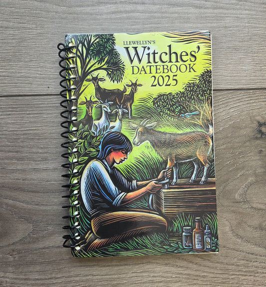 Literature- Witches Datebook 2025