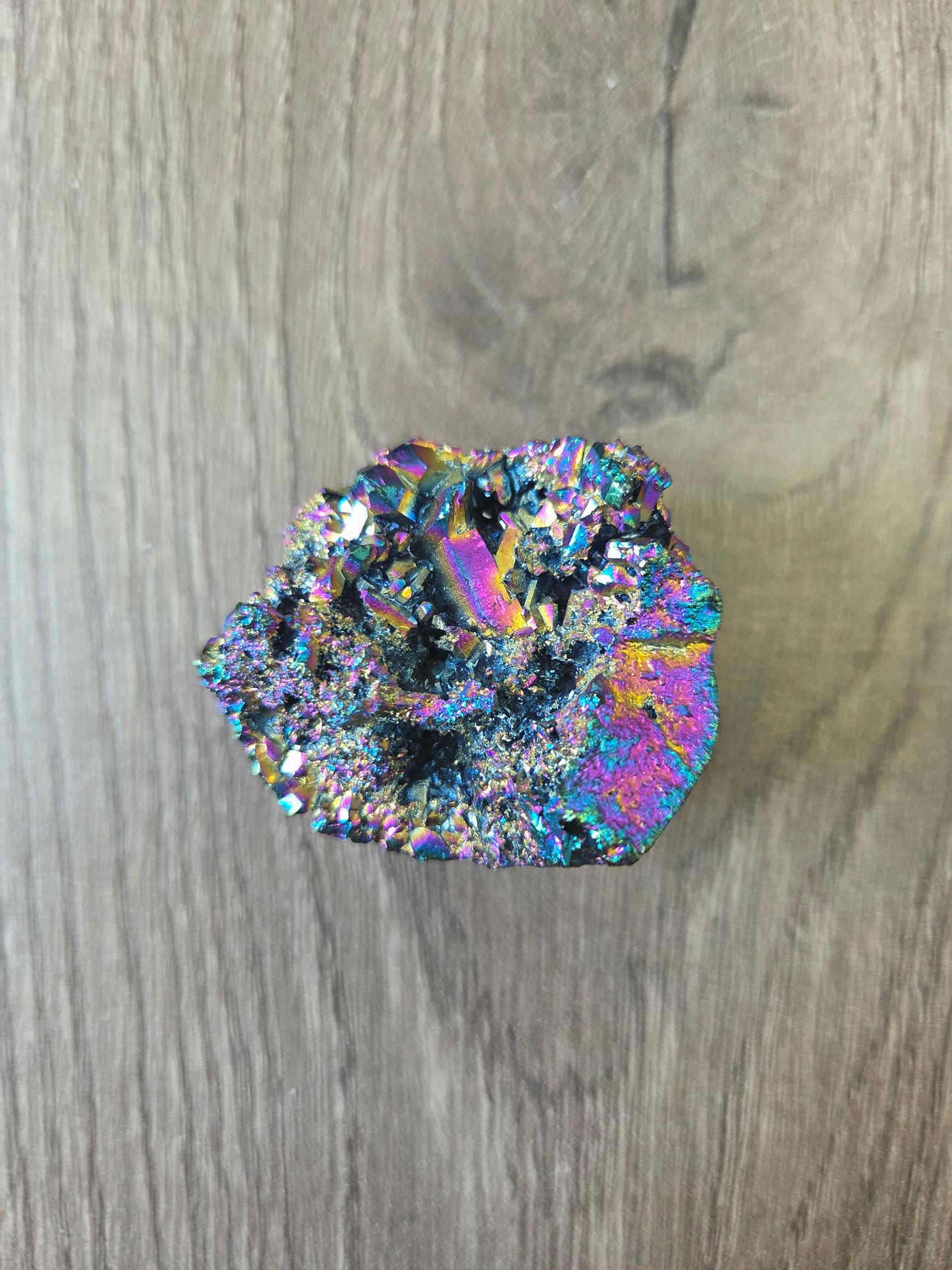 Carved- Titanium Hedgehog
