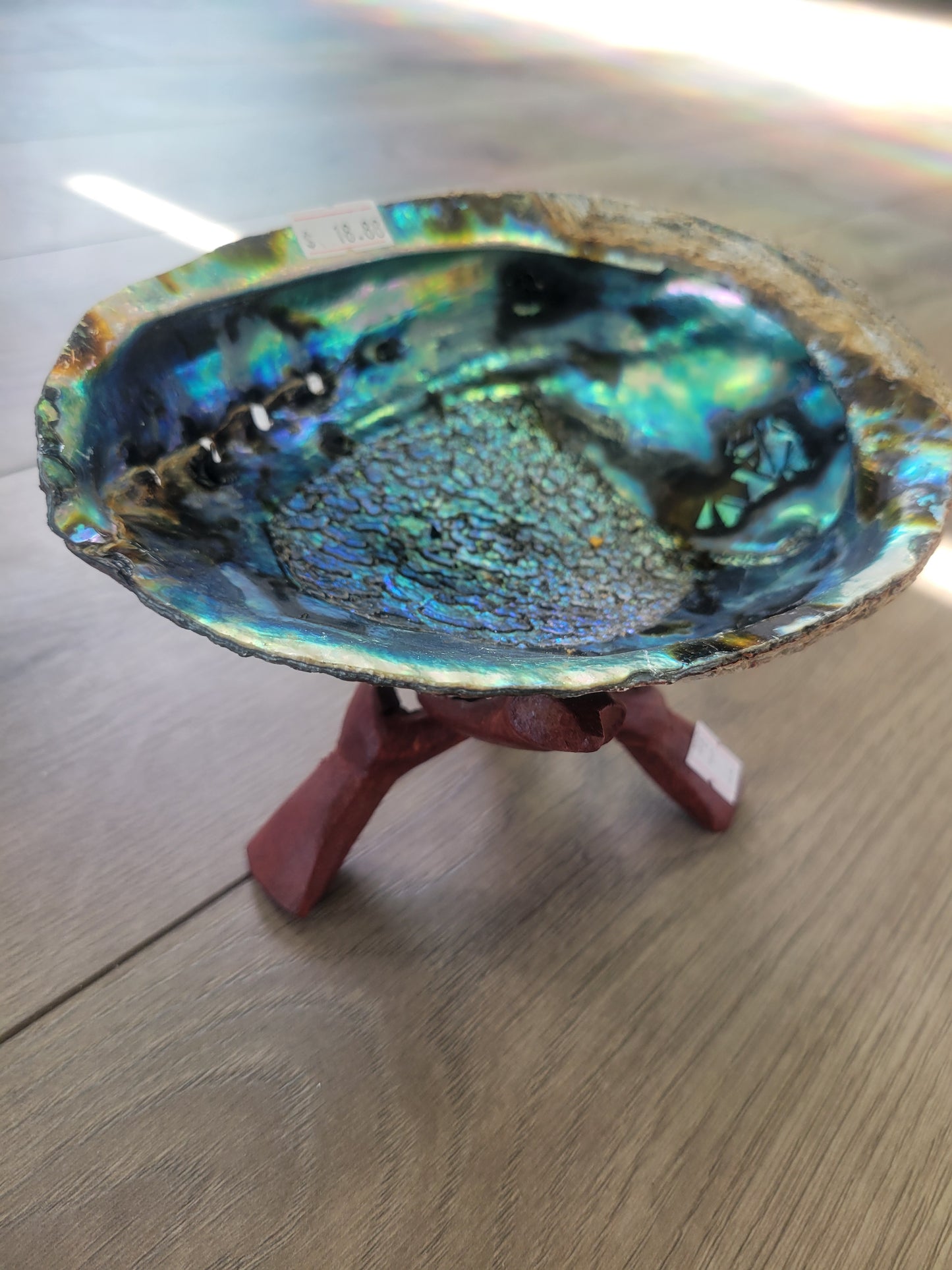 Smudge- Abalone Shell Stand