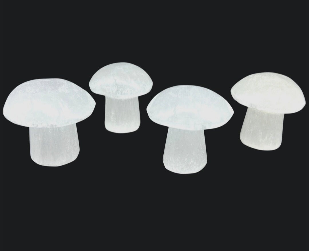 Carved- Selenite Mushroom