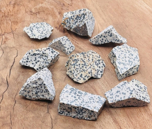 Raw- Dalmation Jasper