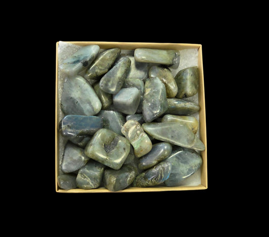 Tumbled- Labradorite (sm)