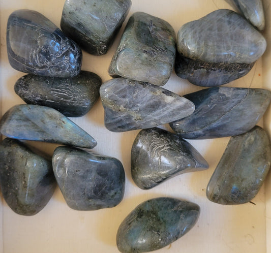 Tumbled- Labradorite(Med)