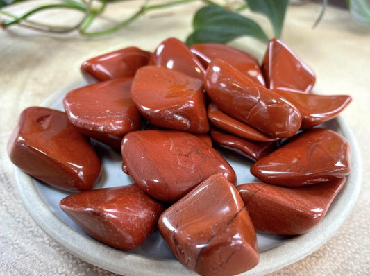 Tumbled- Red Jasper (Large)