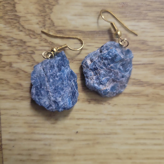 Earrings- Apatite