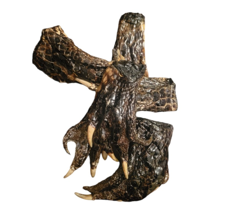 Ritual- Gator Foot (Med)
