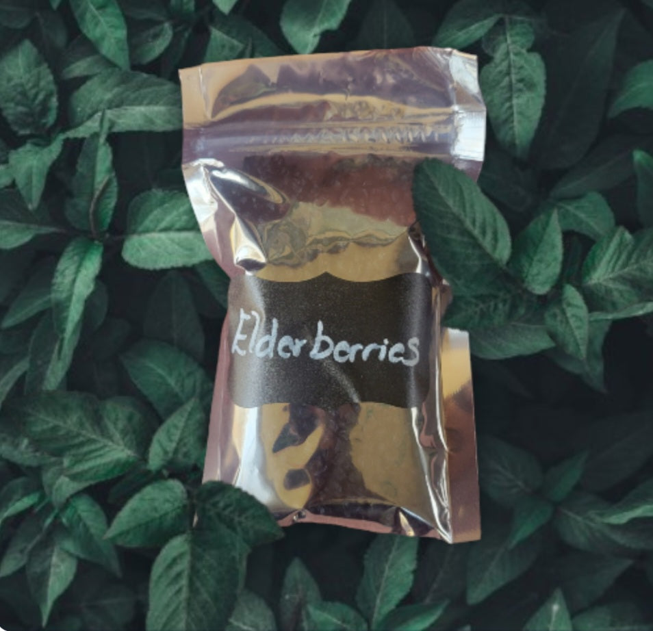 Herb- Elderberries