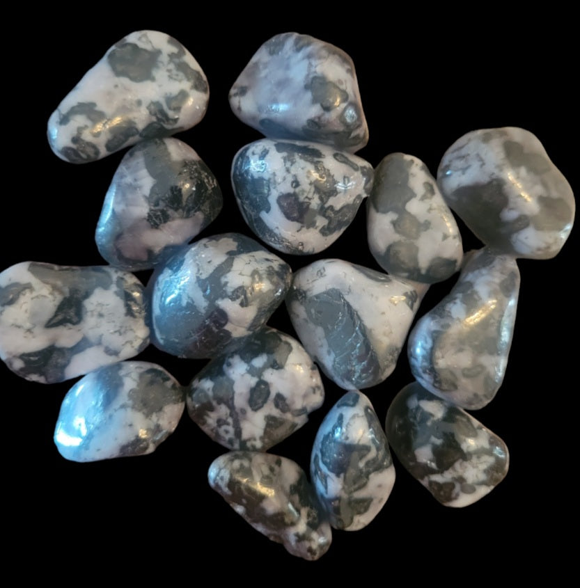 Tumbled- Indigo Gabbro