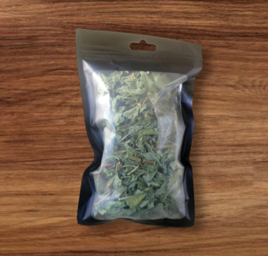 Herb- Spanish Needle