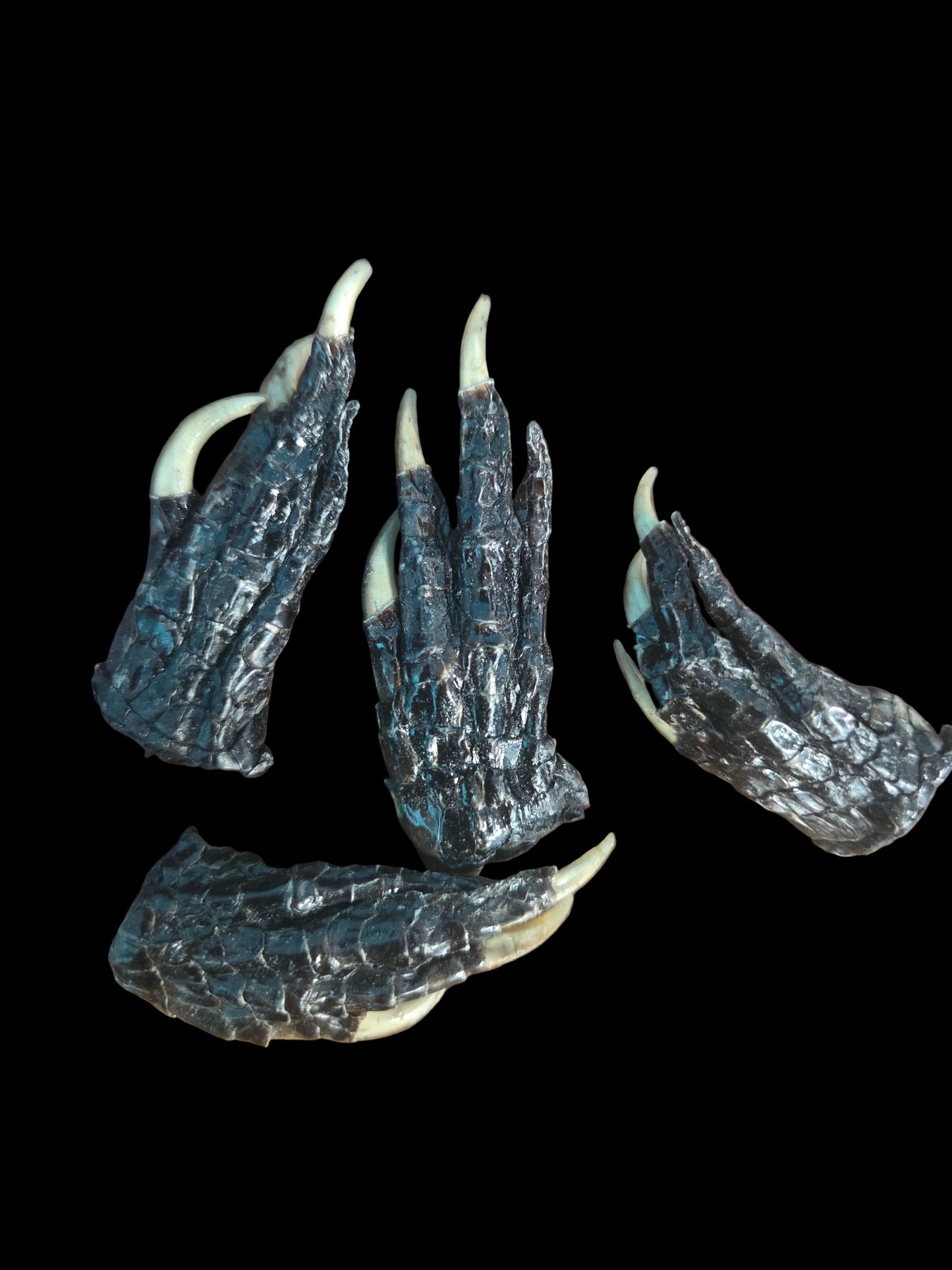 Ritual- Gator Foot (Sm)