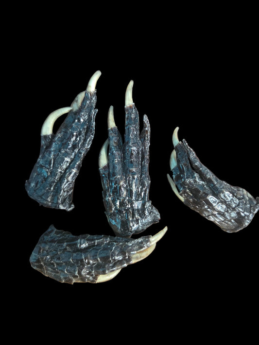 Ritual- Gator Foot (Sm)