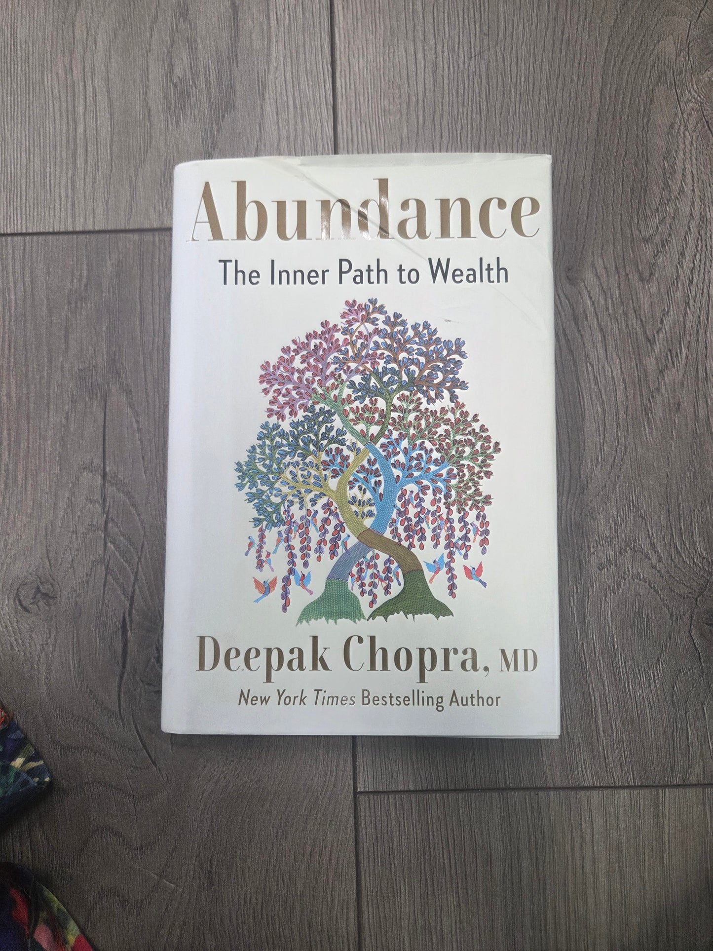 Literature- Abundance The Inner Path to Wealth