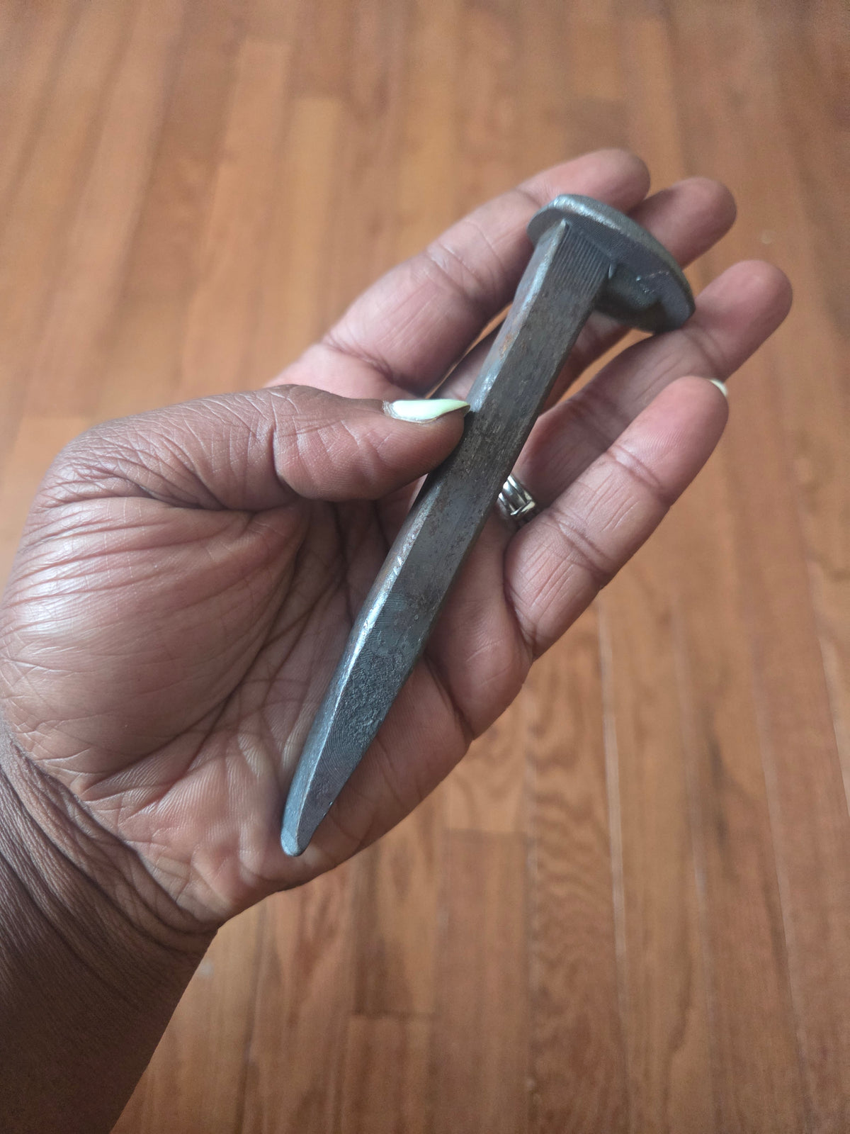 Railroad Spikes