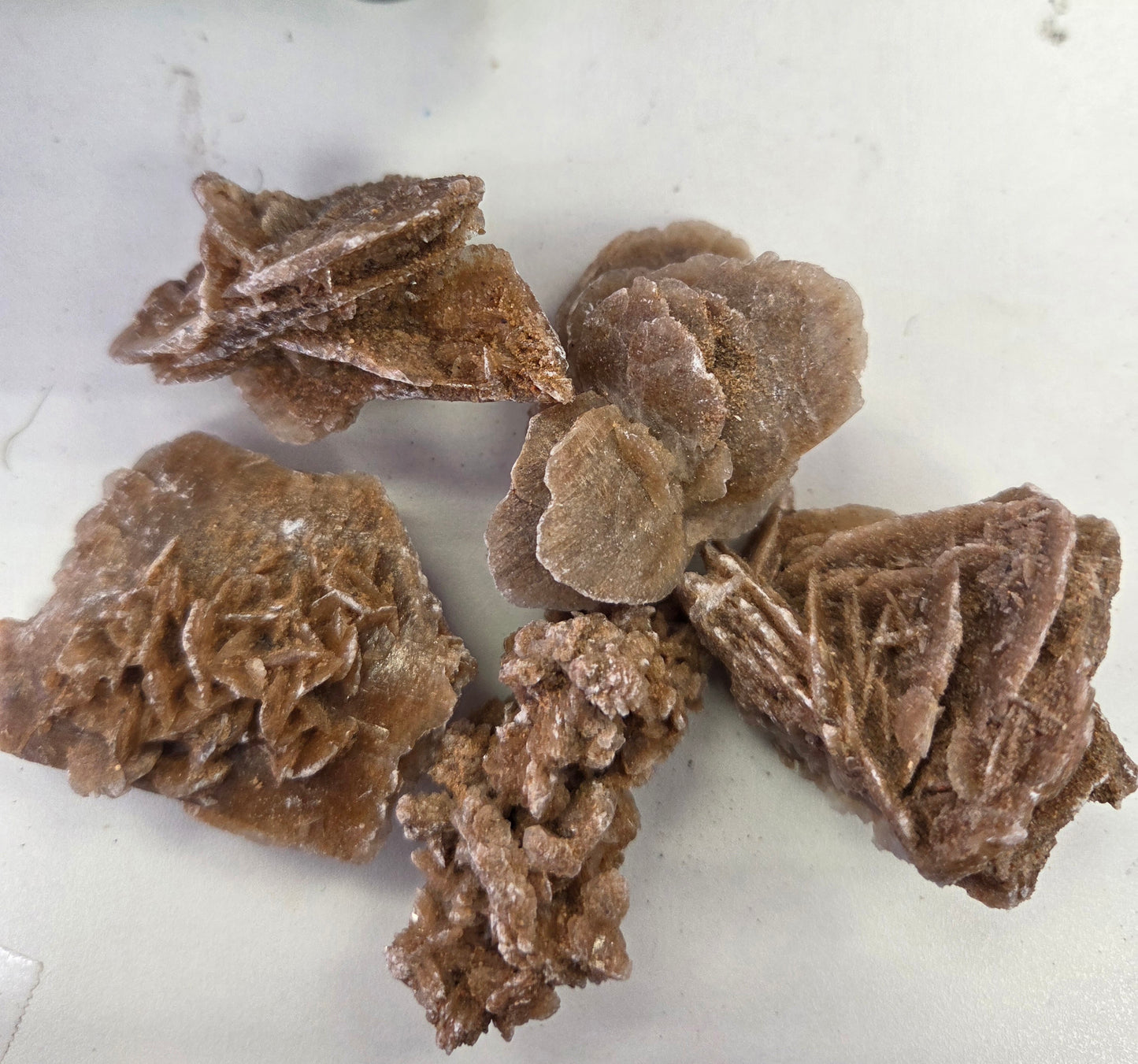 Raw- Desert Rose Morocco
