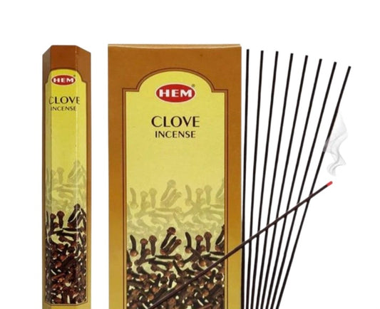 Smudge- Clove Incense