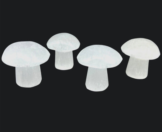 Carved- Selenite Mushroom