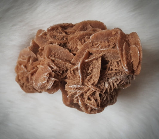 Raw- Dessert Rose Moroccan