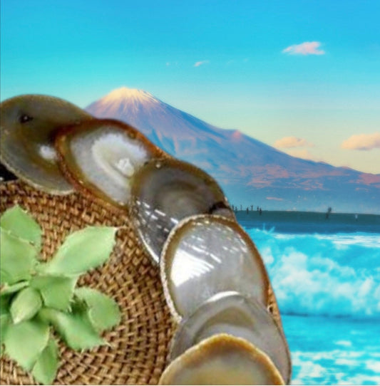 Slice- Natural Agate
