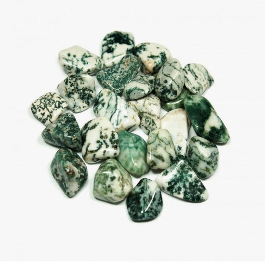 Tumbled- Tree Agate